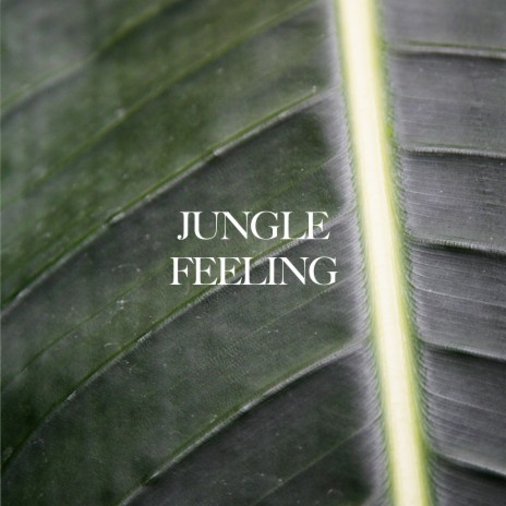 Jungle Feeling ft. MOSS | Boomplay Music