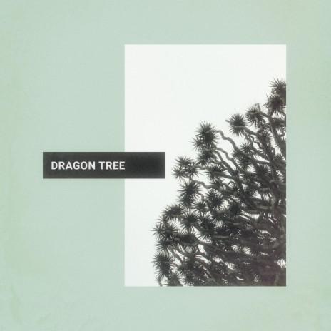 Dragon Tree | Boomplay Music