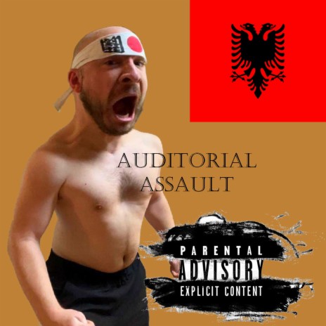 Auditorial Assault (Don't Listen to this) | Boomplay Music