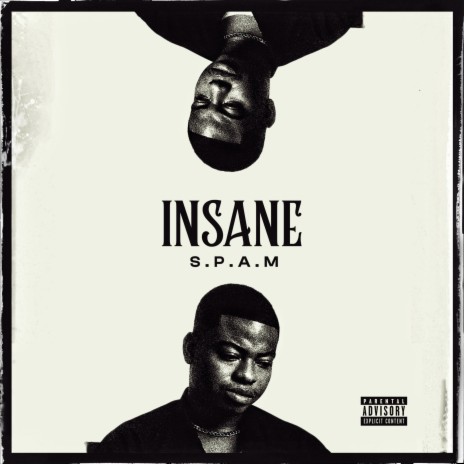 Insane | Boomplay Music