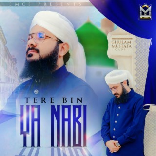 Tere Bin Ya Nabi