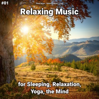 #01 Relaxing Music for Sleeping, Relaxation, Yoga, the Mind