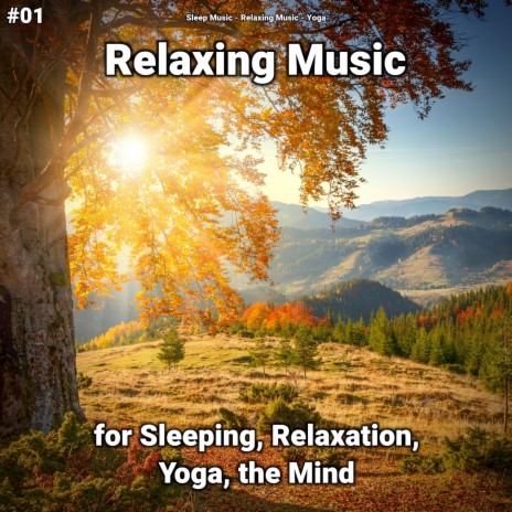 Great Ambient Sounds for Insomnia ft. Relaxing Music & Yoga | Boomplay Music