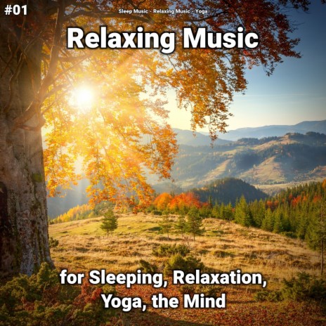 Soft Music ft. Yoga & Relaxing Music | Boomplay Music