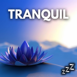 TRANQUIL