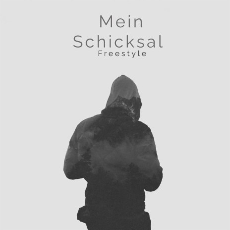 Mein Schicksal Freestyle | Boomplay Music