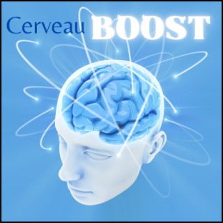 Cerveau Boost: Musique de Concentration et de Productivité pour l'Étude et le Travail