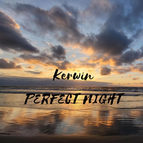 Perfect Night | Boomplay Music