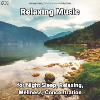 #01 Relaxing Music for Night Sleep, Relaxing, Wellness, Concentration