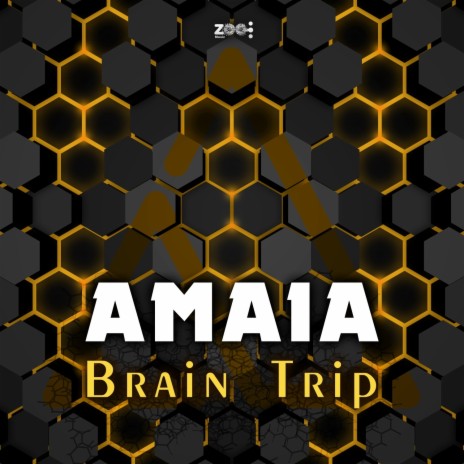 Brain Trip | Boomplay Music