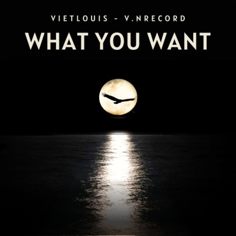 What You Want ft. V.N Record | Boomplay Music