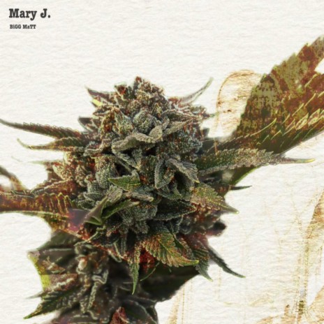Mary J. | Boomplay Music