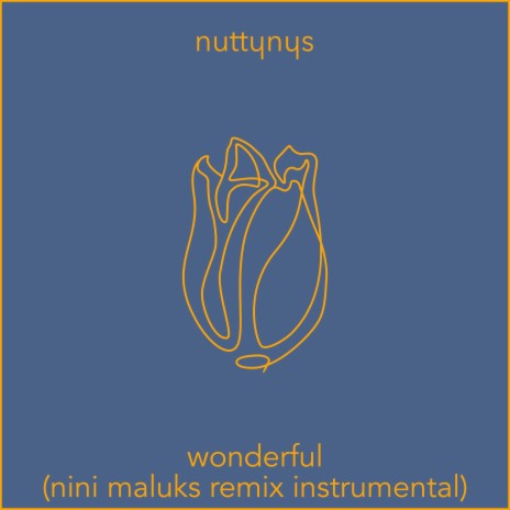 Wonderful [Instrumental] (Nini Maluks Remix) | Boomplay Music