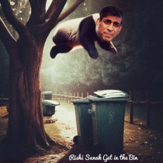 Rishi Sunak Get in the Bin