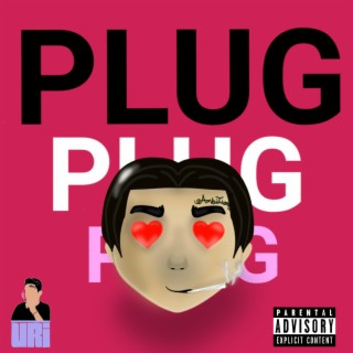 Plug