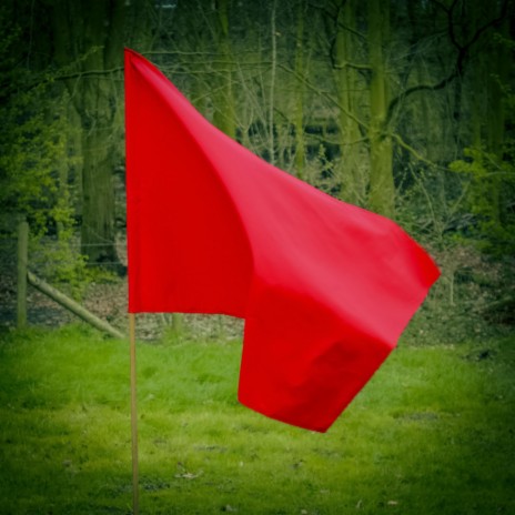 RED FLAG | Boomplay Music