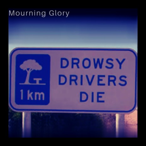 Drowsy Drivers Die