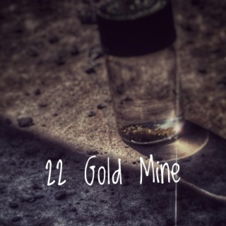 22 Gold Mine