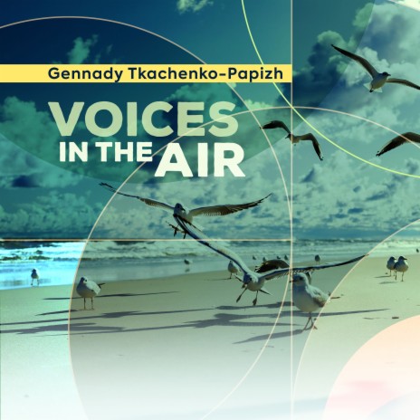 Voices in the Air | Boomplay Music