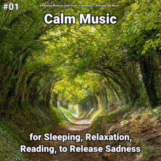 #01 Calm Music for Sleeping, Relaxation, Reading, to Release Sadness