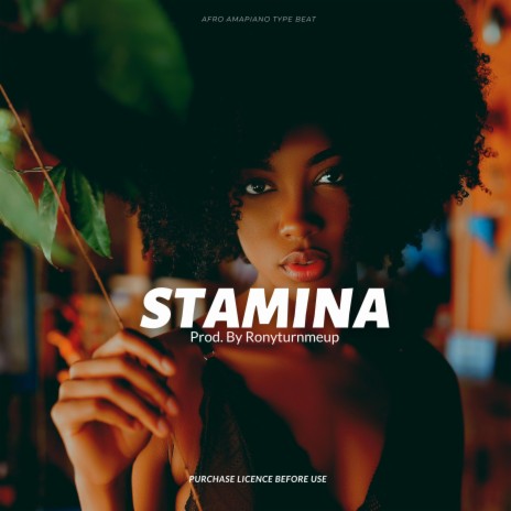 Stamina (Amapiano Instrumental) | Boomplay Music