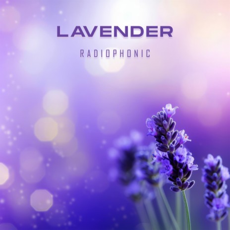 Lavender | Boomplay Music