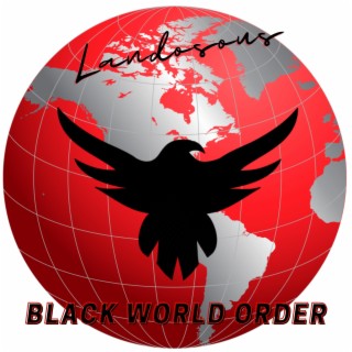 Black World Order 🅴 | Boomplay Music