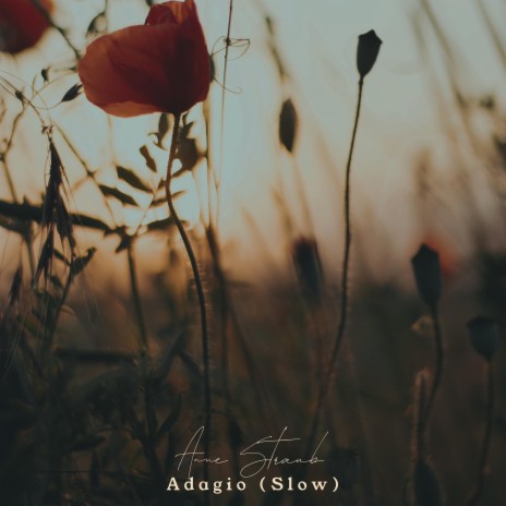 Adagio (Slow)