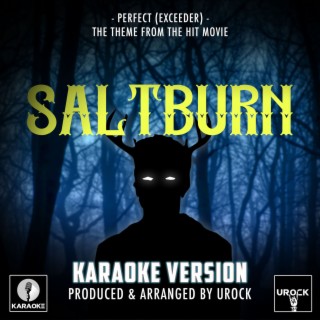 Perfect (Exceeder) [From Saltburn] (Karaoke Version)