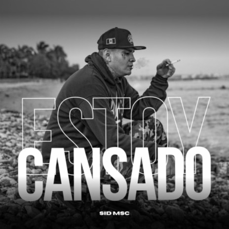 Estoy Cansado | Boomplay Music