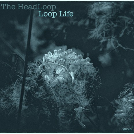 Loop Life (Original Mix) | Boomplay Music