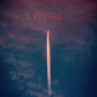 FLYING