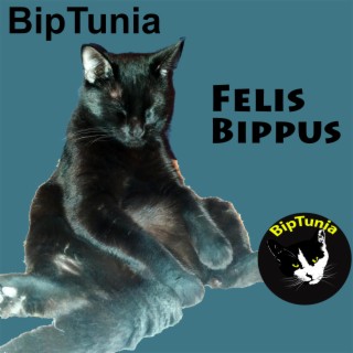 Felis Bippus