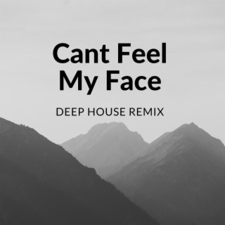 Cant Feel My Face (Deep House Remix)