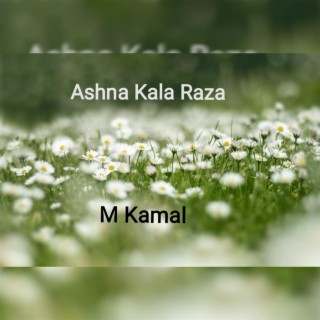 Ashna Kala Raza