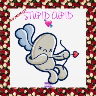 STUPID CUPID