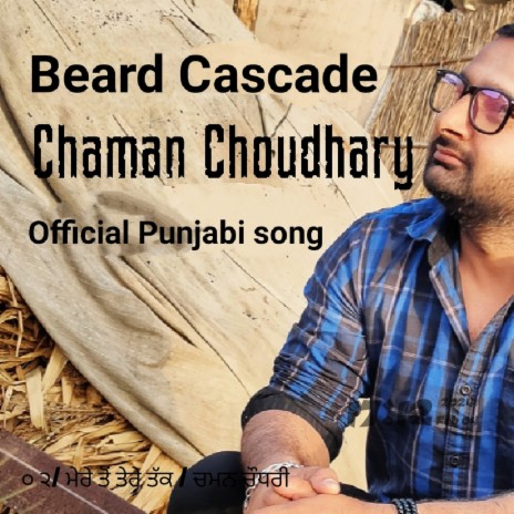 Beard Cascade | Boomplay Music