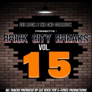 Brick City Breaks, Vol. 15