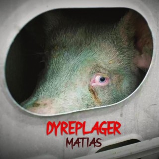 Dyreplager