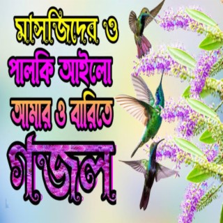 মসজিদের ই পালকি আইলো