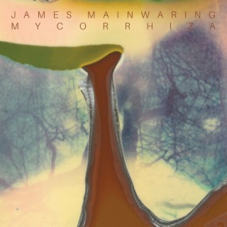 James Mainwaring