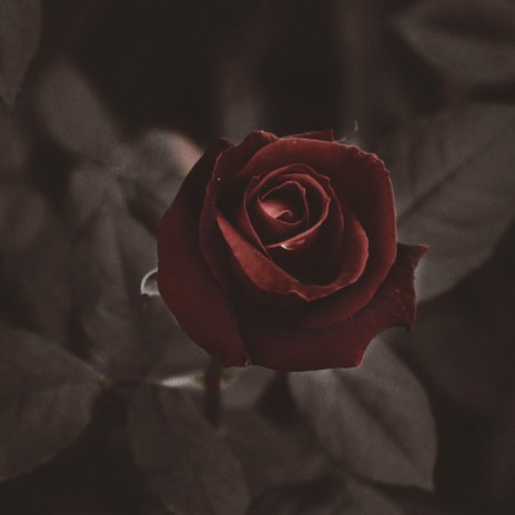 Ruby Roses | Boomplay Music