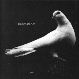 Halfenstance