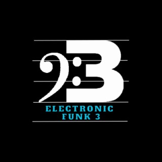 Electronic Funk 3