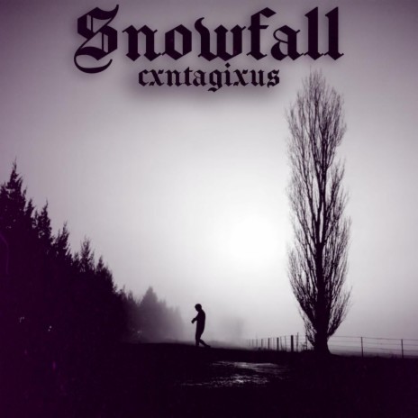 Snowfall (Phonk) | Boomplay Music