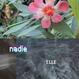 Nadie lyrics | Boomplay Music