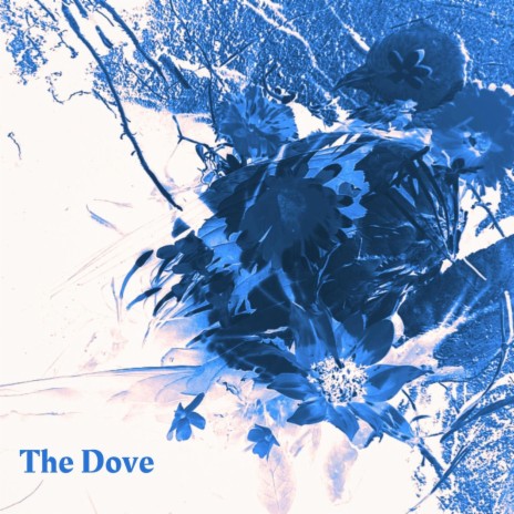 The Dove | Boomplay Music