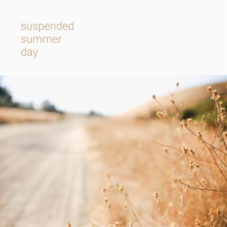 Suspended Summer Day