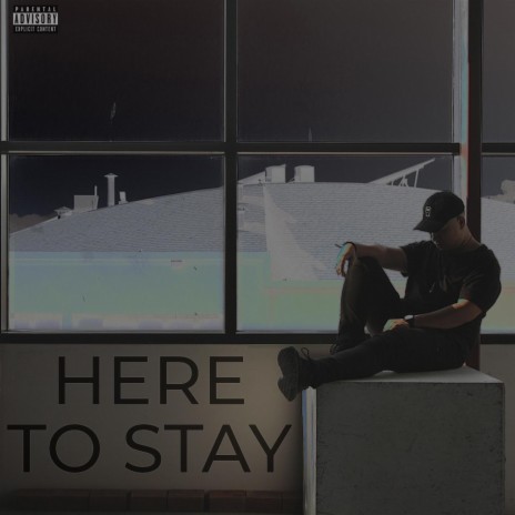 Here to Stay | Boomplay Music