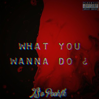 What You wanna do ?